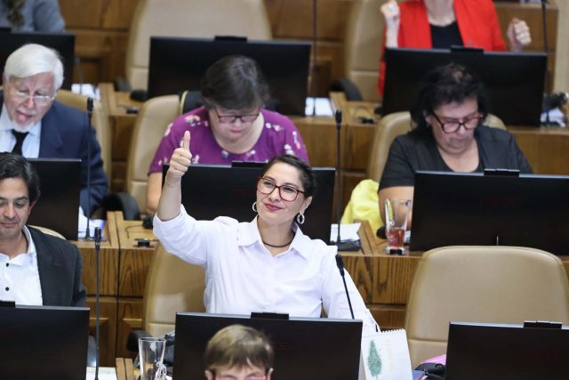 diputada castillo copia
