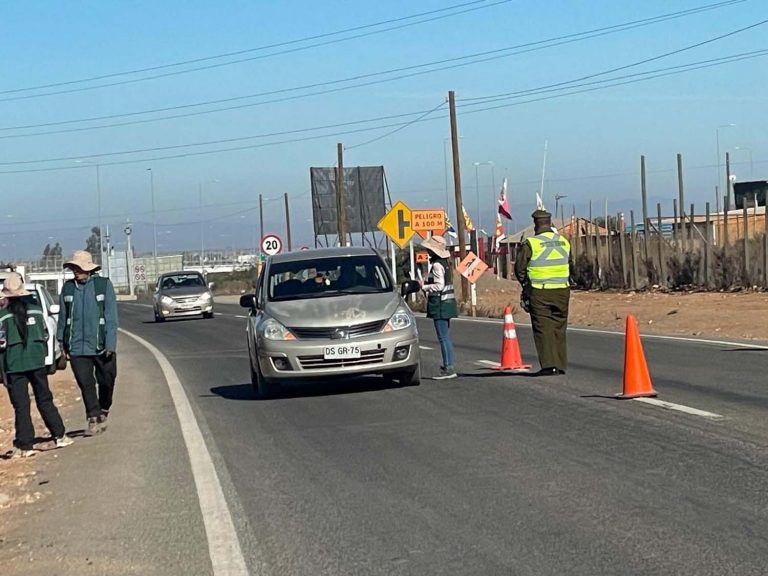 Terremoto agrícola en Coquimbo: 265 toneladas se han destruido para tratar de controlar mosca de la fruta