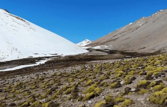 Frenan santuario natural en Monte Patria: Ministerio de Medio Ambiente omitió notificar a empresa minera del sector
