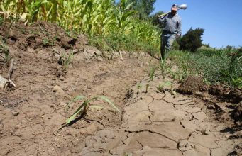 Cámara de Diputadas y Diputados aprueba por unanimidad resolución para enfrentar crisis agrícola en Monte Patria
