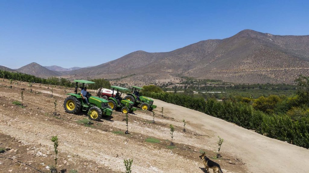 El nivel de informalidad alcanza un 52,5% del total de ocupados en los trabajadores del sector agrícola