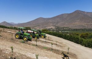 El nivel de informalidad alcanza un 52,5% del total de ocupados en los trabajadores del sector agrícola