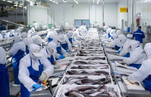 Por primeva vez en la historia Región de Coquimbo supera las 400 mil personas ocupadas