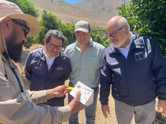 Agricultores y productores de Monte Patria valoran éxito de campaña para erradicar la mosca de la fruta