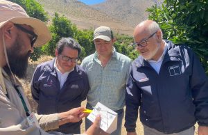 Agricultores y productores de Monte Patria valoran éxito de campaña para erradicar la mosca de la fruta