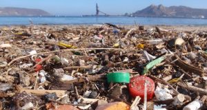 Estudio chileno revela cómo las lluvias y vientos quintuplican basura en playas