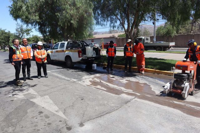 avenida las delicias vicuña 02 copia