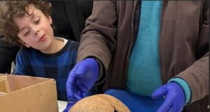 Los Vilos inaugurará sala museográfica con réplica del Hombre de Los Vilos: el vestigio humano más antiguo de Sudamérica