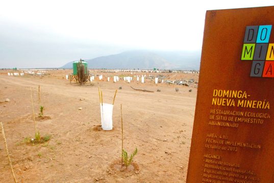 Los cuatro escenarios que estudia Andes Iron para proyecto Dominga