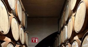 Especialistas en bebidas espirituosas de Reino Unido visitaron destilerías de Coquimbo