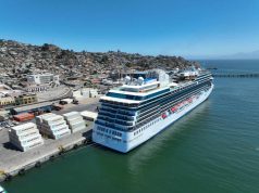 Puerto de Coquimbo movilizó más de 21.000 toneladas de concentrado de cobre en enero