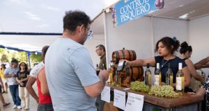 Con alta participación de privados, la región de Coquimbo tendrá temporada de vendimias con seis fiestas entre febrero y mayo