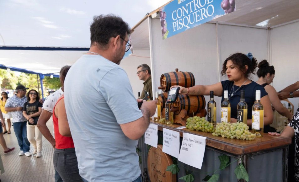 Con alta participación de privados, la región de Coquimbo tendrá temporada de vendimias con seis fiestas entre febrero y mayo