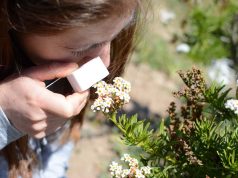 Centro de Educación Ambiental CEAZA invita a actividades educativas gratuitas en Parque Urbano Cerro Grande