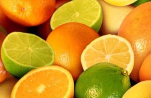 Mesa de trabajo impulsa estrategias para la exportación de cítricos en temporada de frutas de invierno