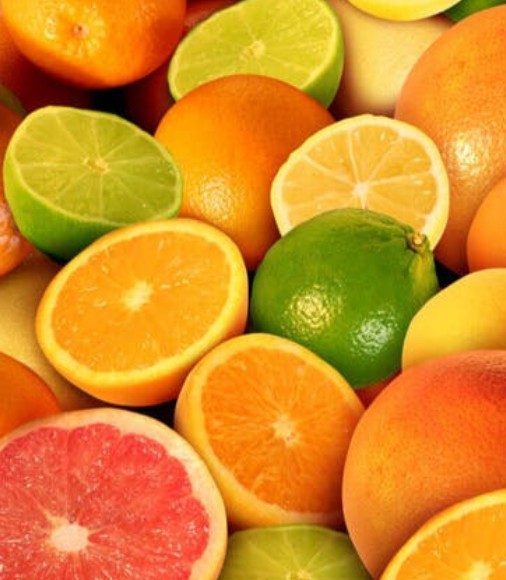 Mesa de trabajo impulsa estrategias para la exportación de cítricos en temporada de frutas de invierno