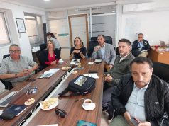 Más de 3,8 millones de botellas de pisco fueron exportadas en 2025 e industria logra alza de un 27,6%