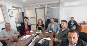 Más de 3,8 millones de botellas de pisco fueron exportadas en 2025 e industria logra alza de un 27,6%