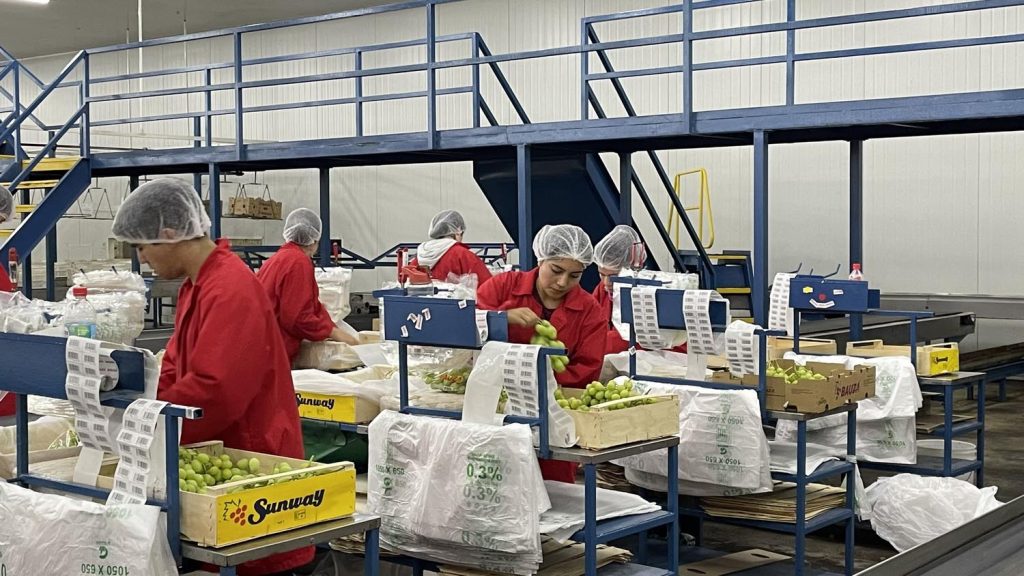 SENCE Coquimbo ofrece subsidios laborales para que empresas incorporen a jóvenes y personas mayores