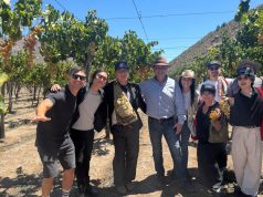 Especialistas japonenes conocieron el proceso de elaboración del pisco chileno