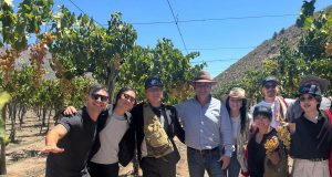 Especialistas japonenes conocieron el proceso de elaboración del pisco chileno