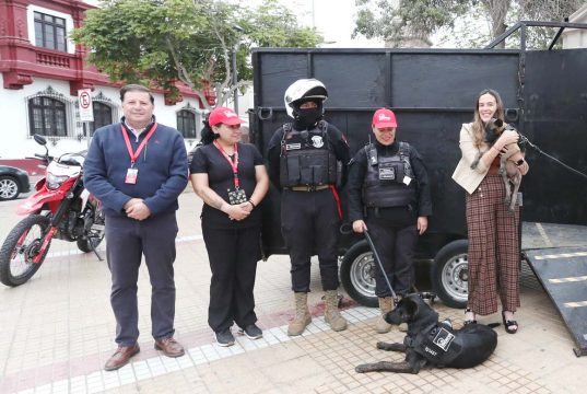 Municipio de La Serena incorpora perros adiestrados a patrullajes municipales