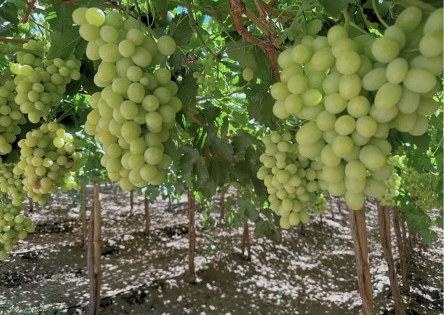 Fotos - talleres elqui