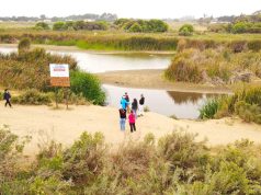 Consejeros Regionales manifiestan preocupación por impacto de extracción de áridos sobre cauce del Río Elqui