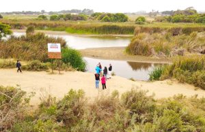 Consejeros Regionales manifiestan preocupación por impacto de extracción de áridos sobre cauce del Río Elqui