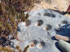 Petroglifos diaguitas y ostiones fosilizados: invitan a explorar el patrimonio arqueológico en Tongoy