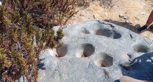 Petroglifos diaguitas y ostiones fosilizados: invitan a explorar el patrimonio arqueológico en Tongoy