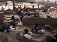 Compensaciones por obras de mantención y resguardo del Sitio arqueológico El Olivar demandó $5.171 millones al fisco