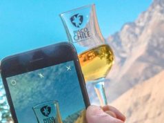 El Pisco Chileno celebra su día mirando al mundo