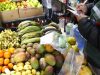 SAN AG llama a la comunidad a frenar traslado irregular de fruta tras nuevo foco de mosca de la fruta en Ovalle