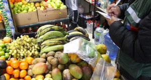 SAN AG llama a la comunidad a frenar traslado irregular de fruta tras nuevo foco de mosca de la fruta en Ovalle