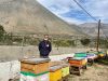 Aprueban recursos para la realización del Congreso Nacional de Apicultores de Chile en Vicuña