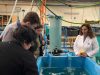 UCN realiza transferencia tecnológica sobre Biofloc para optimizar el uso de agua en la acuicultura