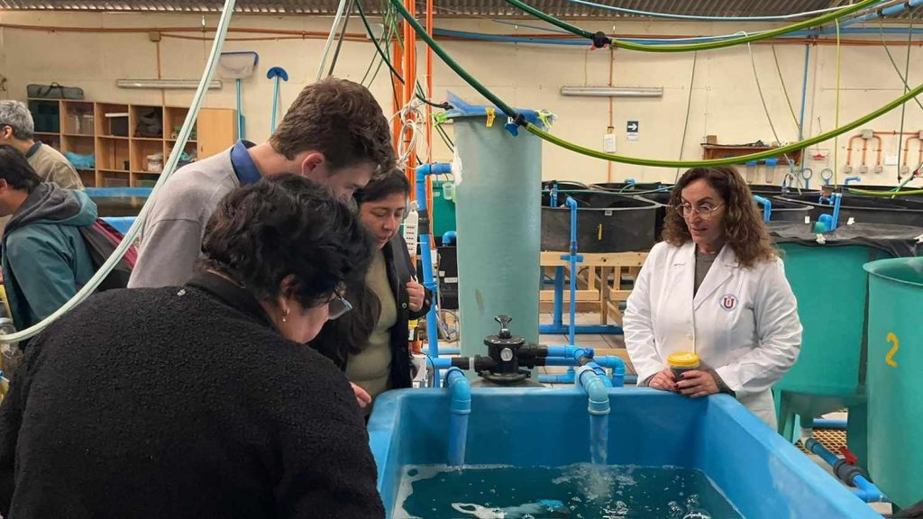 UCN realiza transferencia tecnológica sobre Biofloc para optimizar el uso de agua en la acuicultura