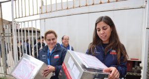 Más de 32 mil vacunas contra influenza, hepatitis A y tétano llegaron a la Región