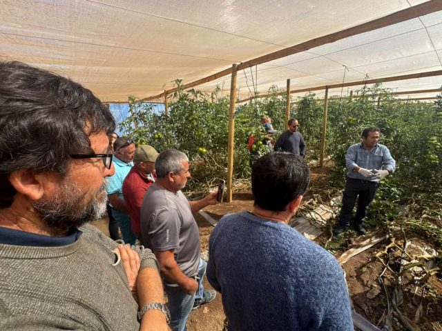 agricultores IA 01