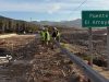 Inician recuperación del Puente El Arrayán en valle de Elqui y Ruta La Serena-Vallenar presenta la situación más crítica