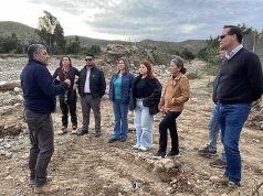 CORE aprueba $445 millones para acelerar el despeje de caminos dañados por el temporal