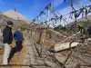 INIA Intihuasi orienta la recuperación de predios agrícolas en Coquimbo tras precipitaciones récord