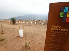 Andes Iron se incorpora a la investigación por acusación de corrupción judicial