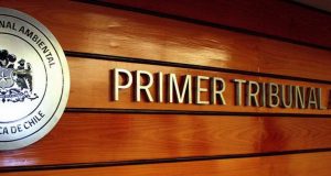 Tribunal Ambiental confirma calificación favorable de proyecto de la Compañía Minera del Pacífico