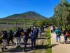 Ovalle invita a nueva jornada de trekking familiar en Quebrada Seca de Sotaquí