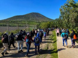 Ovalle invita a nueva jornada de trekking familiar en Quebrada Seca de Sotaquí