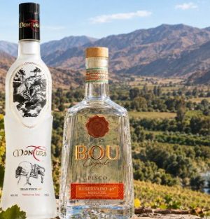 pisco