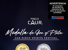 De un alambique en el Limarí al podio en California: el pisco artesanal que destacó por Chile