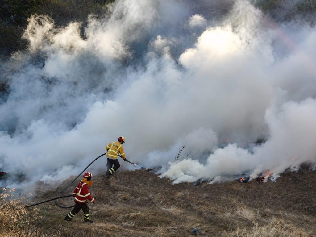 Coquimbo activa plan de prevención con ocho brigadas y un helicóptero para enfrentar la temporada estival